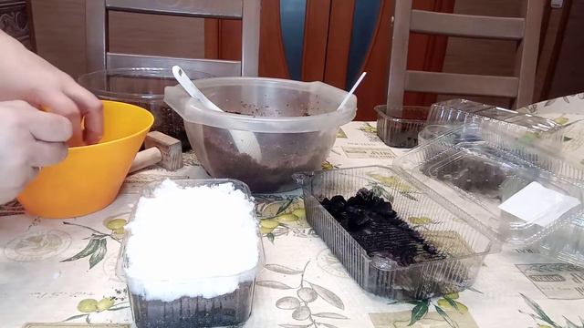 Как посеять петунию.Посев негранулированных семян петунии на снег.Посев мелких семян. смотреть онлайн