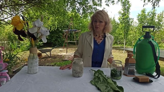 Как избавиться от тли. Лучшие способы борьбы с тлей в саду и на огороде