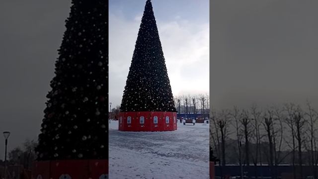 красивая Ёлка около ТЦ.