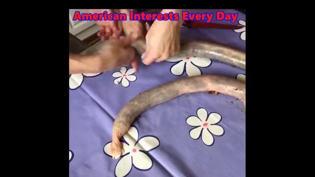 Кавказские Колбасы смотреть онлайн