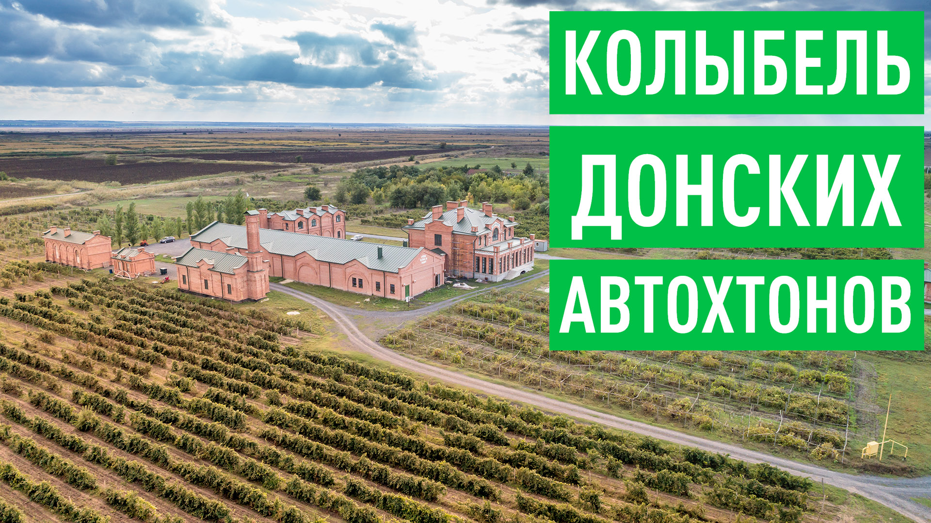 Как Юрий Малик возрождает виноделие на Дону смотреть онлайн