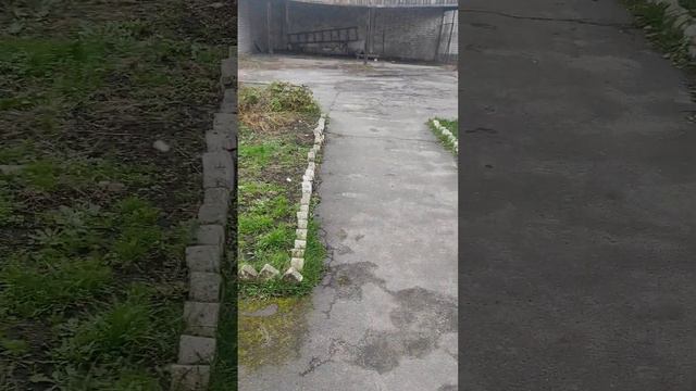 состояние пандуса в городе Сураж для прохода в здание паспотного стола и натариуса смотреть онлайн