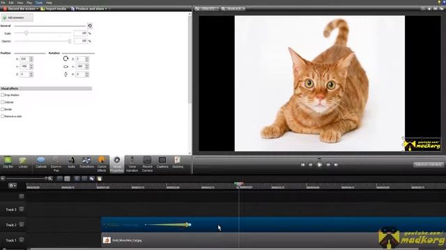 Как сделать анимированный логотип с помощью Camtasia Studio 8 смотреть онлайн