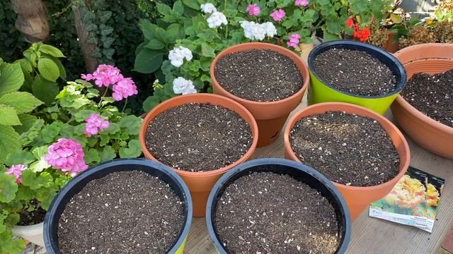 ПОСАДКА ТЮЛЬПАНОВ в КОНТЕЙНЕРЫ . Часть 3 смотреть онлайн