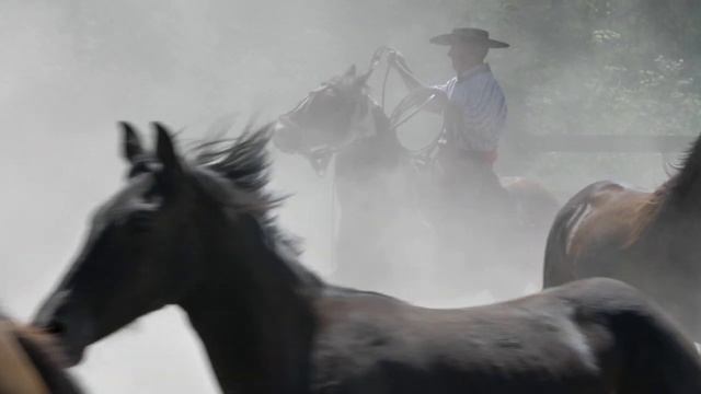 The ONE Panasonic GH5 Setting for Cinematic GH5 Videos смотреть онлайн