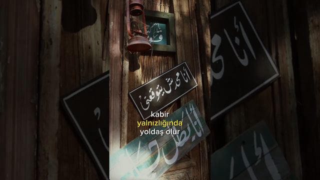 Zenginlilği Celbedin смотреть онлайн