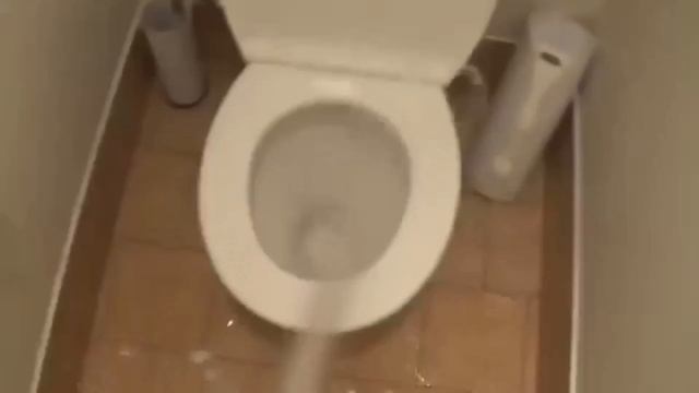 ШОК Кто-то насал в унитазы в Леруа Мерлен смотреть всем прикол