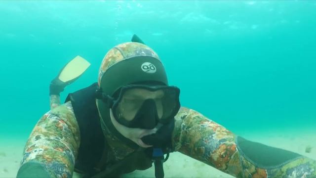 Рапаны чёрного моря