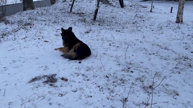 Прогулка по городу Днепр. Новости сегодня. смотреть онлайн