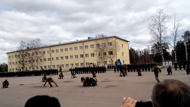 Разведчики в\ч02511 смотреть онлайн