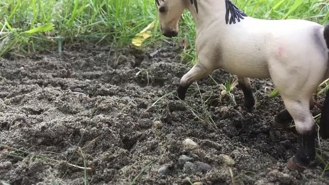 Фотки Лошадей С Моря; | Horsek. || Like смотреть онлайн