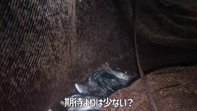 【定置網　漁師】大漁リベンジなるか？箱網と金庫網操業しつつ、獲れた魚の浜値も公開！ смотреть онлайн