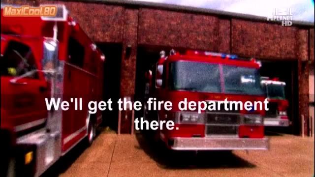 Кошачья порода Ла перм смотреть онлайн