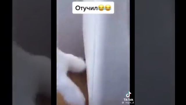 Как отучить кота драть мебель ) Инструкция ) смотреть онлайн