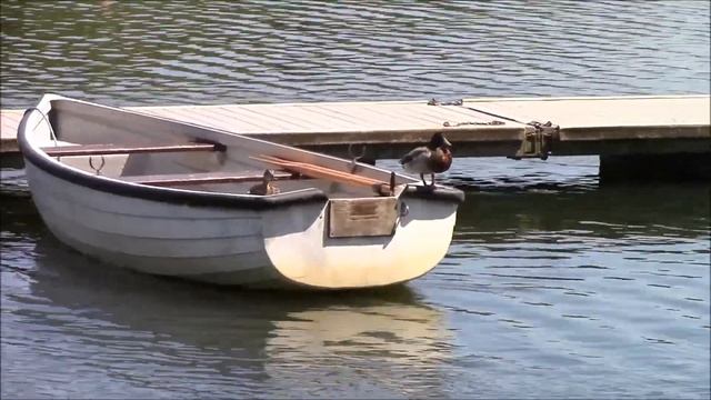 Thornton Reservoir смотреть онлайн