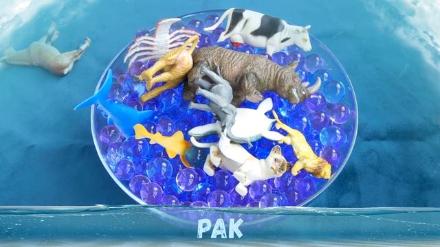 узнать животных выучить названия зверей и морских животных смотреть онлайн