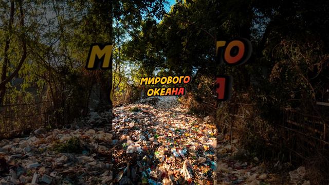 Загрязнение мирового океана смотреть онлайн