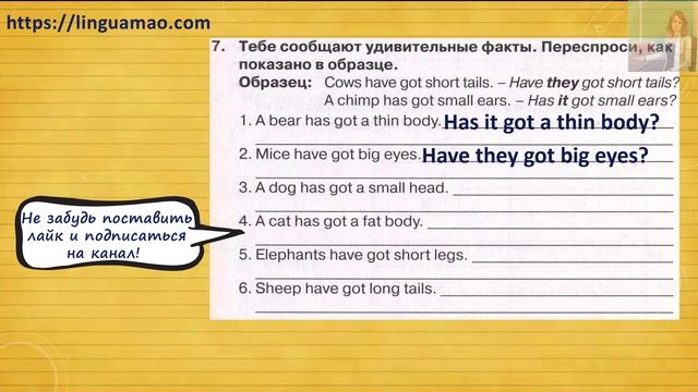 Spotlight 3 класс Сборник упражнений страница 65 номер 7 ГДЗ решебник смотреть онлайн