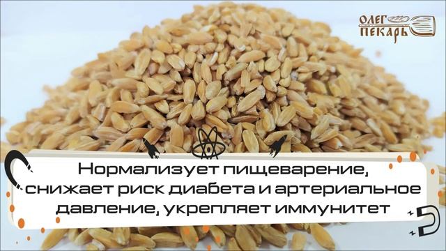 Спельта зерно. Обзор смотреть онлайн