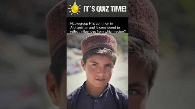 Y-Chromosome Haplogroup H смотреть онлайн