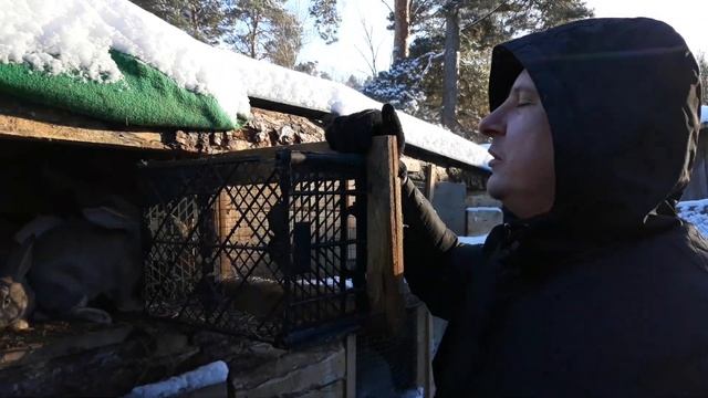 КОРМУШКИ ДЛЯ КРОЛИКОВ ДЛЯ СЕНА СВОИМИ РУКАМИ. СЕННИК ДЛЯ КРОЛИКОВ. смотреть онлайн