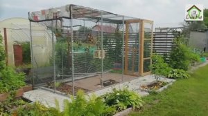 Экскурсия по вольеру для попугая