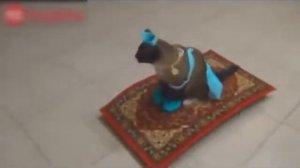 Видео Подборка Приколов  с Животными, Смешные Животные 2014, кошки, собаки