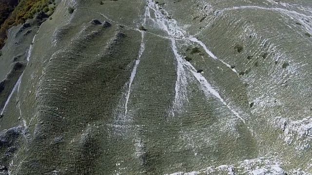 Полеты FPV среди межды с гор. смотреть онлайн