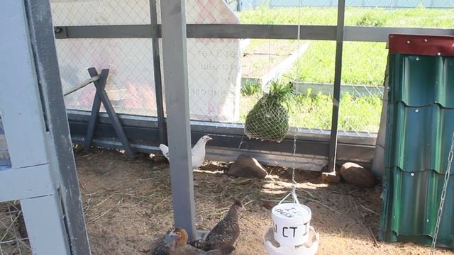 ОБЯЗАТЕЛЬНОЕ МЕРОПРИЯТИЕ ДЛЯ КУР ЛЕТОМ. смотреть онлайн