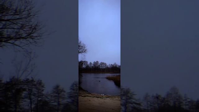 Эль Гамаюн DivnaDevi. 29 октября, выход из практики автономии 21 день. Холодовые процедуры.