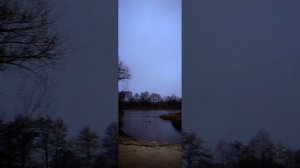 Эль Гамаюн DivnaDevi. 29 октября, выход из практики автономии 21 день. Холодовые процедуры.