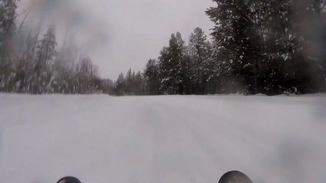 Прокатится на Динго т 150