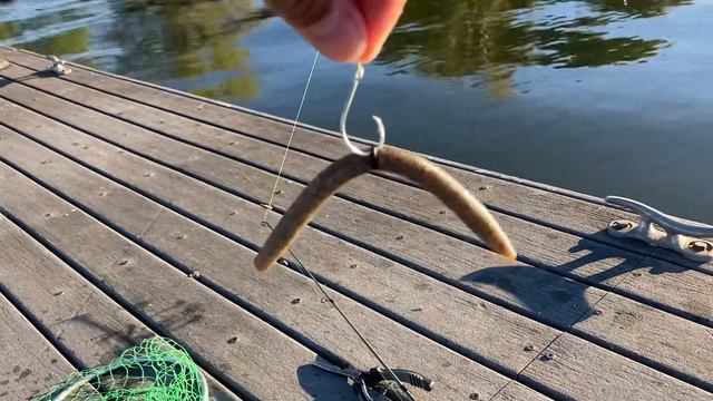 Fuimos a pescar -Sanders Ferry Park Hendersonville, TN смотреть онлайн