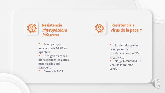 Respuestas de defensa de la papa Solanum tuberosum frente a virus, hongos y bacterias смотреть онлайн