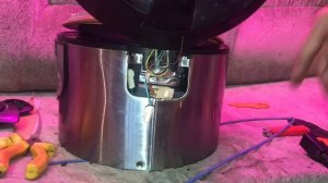 Мультиварка Panasonic | Не реагирует на кнопки | Постоянно мигает таймер и старт| Ремонт