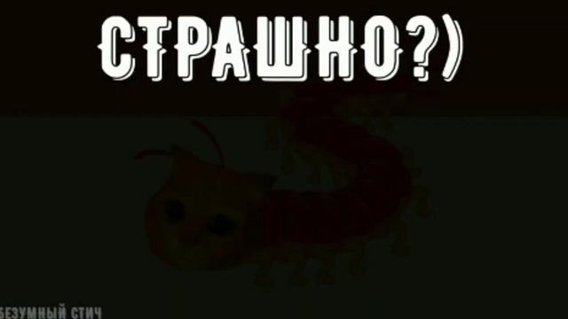 Кошка сороконожка/cat смотреть онлайн