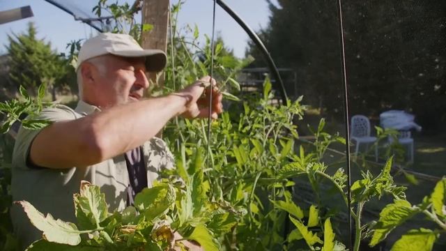 Vasilis Garden Centre Is Closing Down смотреть онлайн