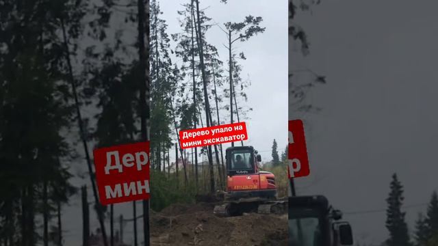 МИНИ ЭКСКАВАТОР ЧУТЬ НЕ РАЗБИЛИ. Упало дерево #дом #дача #сад #kubota #экскаватор #jcb #стройка #сп смотреть онлайн