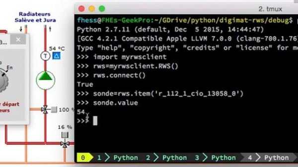 Digimat RWS Python API DEMO 2