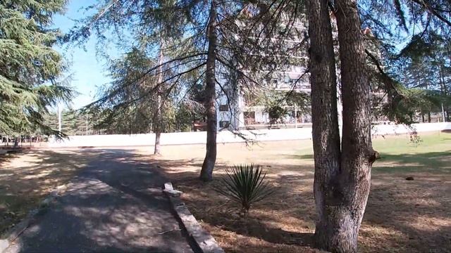 Виртуальная экскурсия по солнечной Абхазии Пицунда смотреть онлайн
