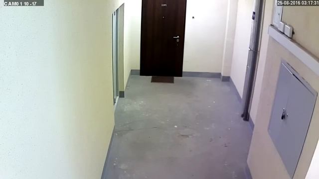 Ch01 20160825 031700 031800 смотреть онлайн