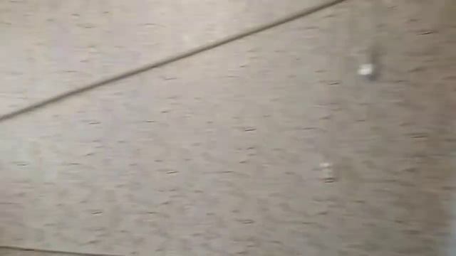 Обои и клей ПВА.