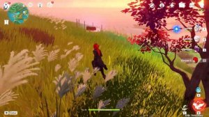 ДЕРЕВНЯ ХИГИ СУНДУК С МЕЧАМИ | ОБЫЧНЫЙ СУНДУК | ОСТРОВ ЯСИОРИ ИНАДЗУМА | Genshin impact 2.0