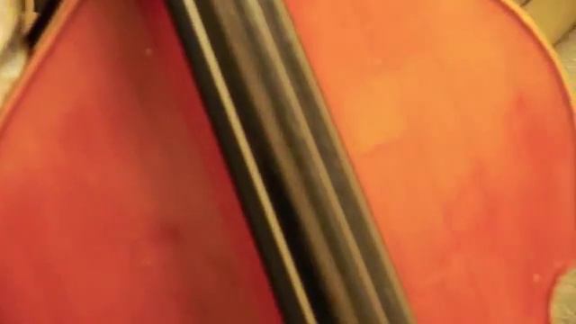 The New Apocolypse Bass Orchestra (Teaser) смотреть онлайн