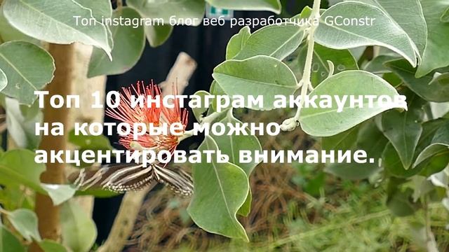 Топ instagram блог веб разработчика GConstr смотреть онлайн