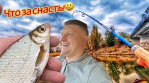 ЭТА СНАСТЬ КОСИТ ГУСТЕРУ КАК КОСА ТРАВУ! Я В ШОКЕ ОТ ТАКОЙ ЭФФЕКТИВНОСТИ!