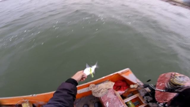 Тарань лещ и толстолобик смотреть онлайн