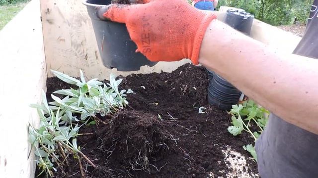 Workshop - Plant Nursery and Propagation смотреть онлайн