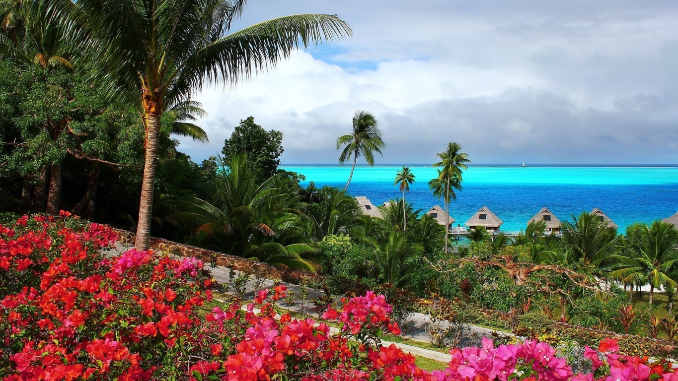 Слайд-шоу красивые картинки. смотреть онлайн