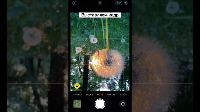 Как круто сфотографировать одуванчик #идеядляфото #креативноефото #одуванчик смотреть онлайн